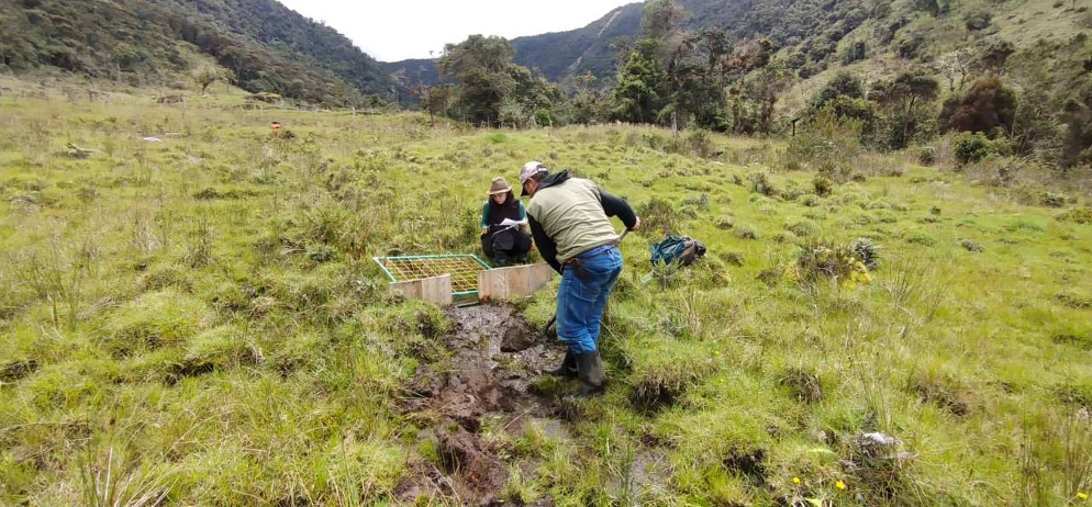 Impactos de la restauración de páramos y turberas en la mitigación al cambio climático
