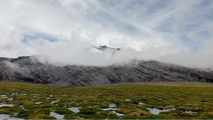 Métodos estandarizados para la mitigación del cambio climático en humedales y ecosistemas de tierras altas en Colombia (Valle Medio del Magdalena, Andes Nororientales, sabanas orientales) – Ecopetrol