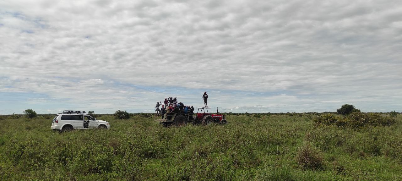 Campo