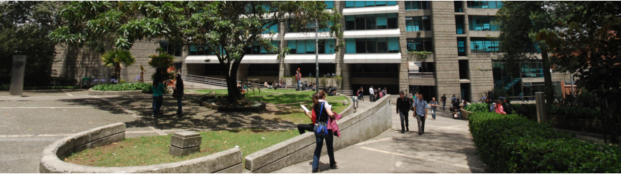 Cursos Online