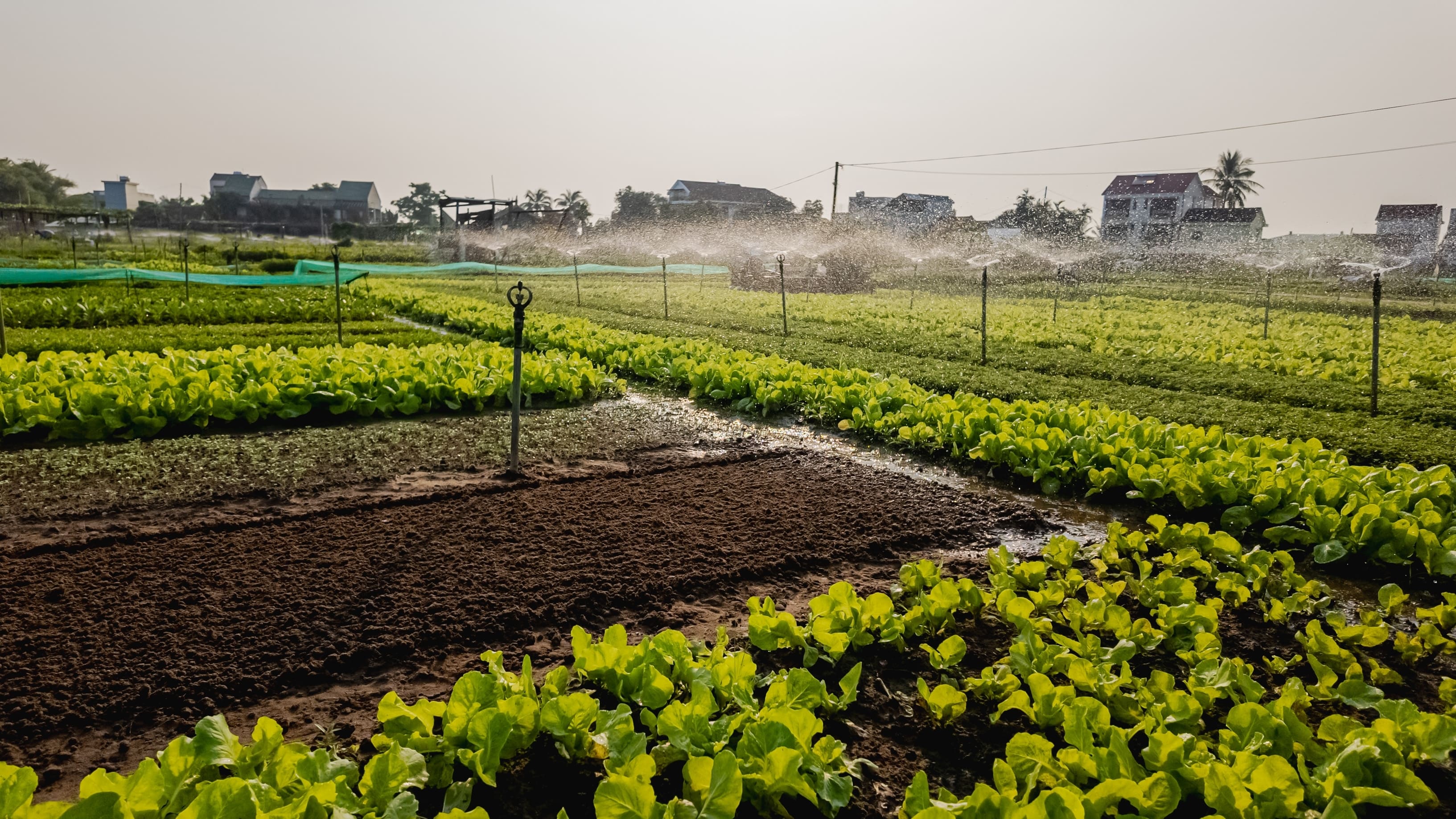 maestria-de-desarrollo-rural