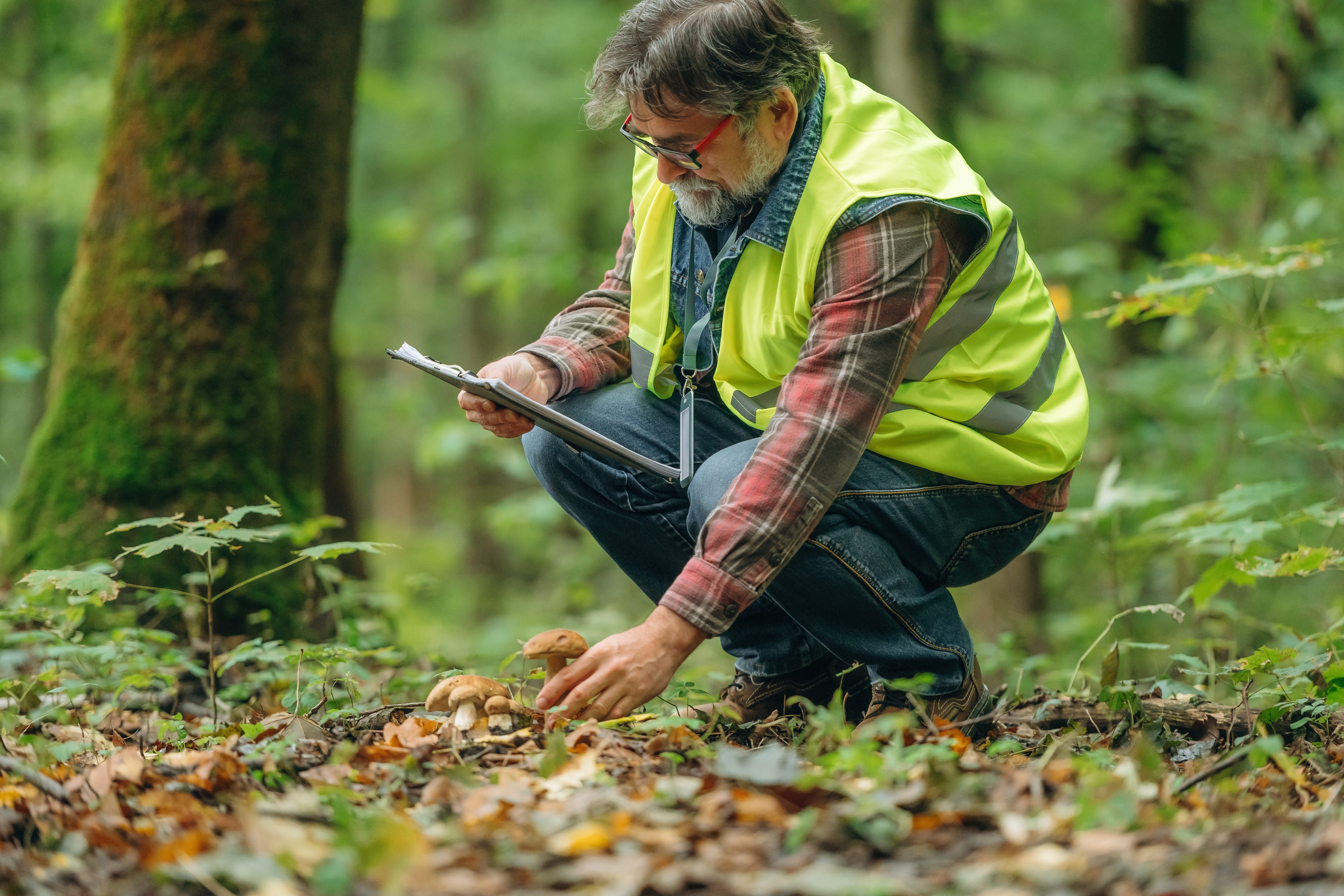 proyectos-restauracion-ecologica